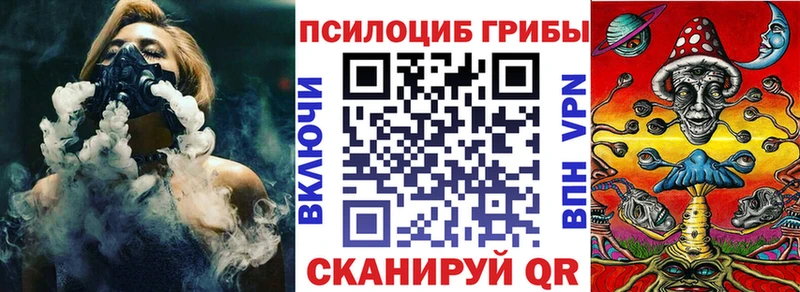 Псилоцибиновые грибы мицелий как найти закладки Дальнегорск