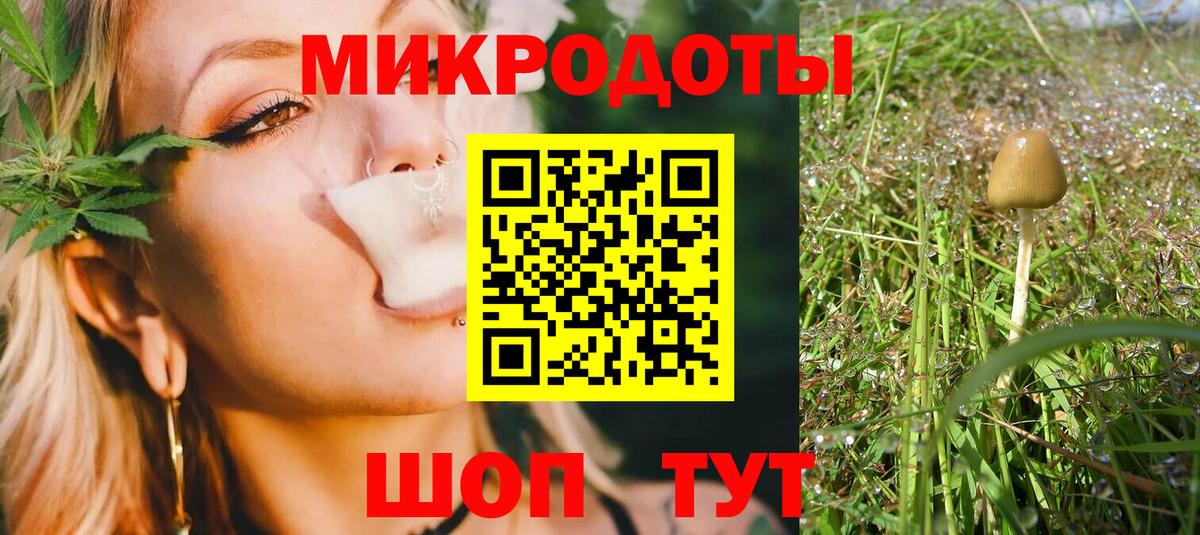 Псилоцибиновые грибы Psilocybine cubensis Дальнегорск